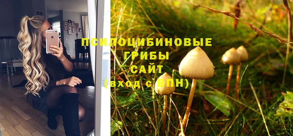 прущая мука Касимов