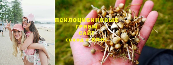 прущая мука Касимов