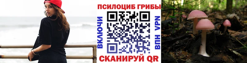 Псилоцибиновые грибы Psilocybine cubensis  Купить закладки  Ивдель 